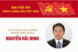 Infographic: Sự nghiệp Phó Chánh văn phòng Trung ương Đảng Nguyễn Hải Ninh