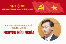 Infographic: Sự nghiệp Phó Trưởng ban Kinh tế Trung ương Nguyễn Hữu Nghĩa
