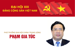 Infographic: Sự nghiệp Phó trưởng Ban Nội chính Trung ương Phạm Gia Túc