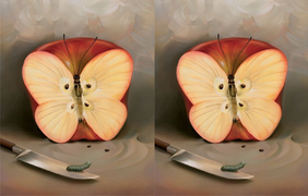 Trắc nghiệm vui: Khám phá nỗi sợ tiềm ẩn qua hình ảnh bạn thấy đầu tiên