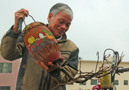 Chiêm ngưỡng vườn bonsai mọc ngược của 'dị nhân' xác lập kỷ lục Việt Nam