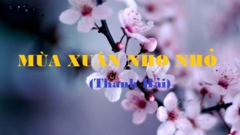Nghe NSƯT Hồng Ngát ngâm bài thơ 