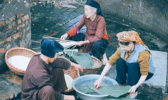 Ngâm thơ: 'Tết của mẹ tôi'