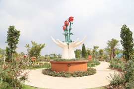 Thăng trầm làng hoa Sa Đéc: Chuyện về Vườn hồng Tư Tôn lừng danh một thời