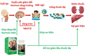 BoniHappy – Bí quyết 'hồi sinh' giấc ngủ cho bệnh nhân mất ngủ mạn tính