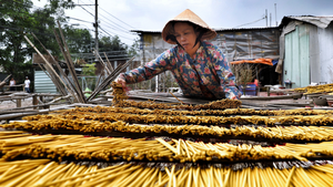 Video: Làng nhang lớn nhất TP.HCM nhộn nhịp vào vụ Tết