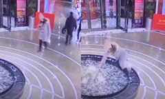 Clip: Vừa đi vừa xem điện thoại, cô gái ngã nhào vào bể nước