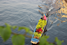 Ảnh: Rực rỡ chợ hoa 'trên bến, dưới thuyền' ở Sài Gòn