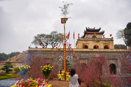 Ảnh: Dựng cây nêu tại Hoàng thành Thăng Long đúng ngày ông Công ông Táo