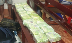 Bắt nam thanh niên vận chuyển 20kg ma túy ở Đồng Nai