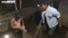 Hạnh phúc của nông dân Hải Dương mùa săn 'lộc trời'