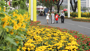 Video: Đường hoa tươi dài 700 m ở phố nhà giàu Phú Mỹ Hưng 