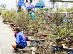 TP.HCM: Chợ hoa Bến Bình Đông đìu hiu, thương nhân thở dài vì ế khách