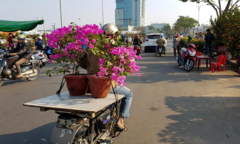 Những dịch vụ hốt bạc ngày giáp Tết 