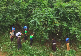 Những bản làng phía Tây ở Thanh Hoá rũ bỏ 'bão trắng', lá ngón để hồi sinh