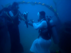 Video: Hôn lễ dưới biển ở Ấn Độ