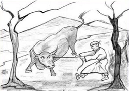 Phóng sinh sao lại đắt hơn sát sinh?