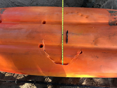 Cá mập 'điên' tấn công cặp bố con chèo kayak, cắn thủng thân thuyền