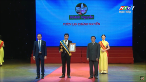 Vườn lan Khánh Nguyễn: Vẻ đẹp và giá trị của dòng hoa lan rừng việt Nam