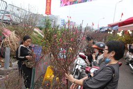 Thời tiết ngày 30 Tết: miền Bắc chìm trong sương mù, nắng ấm ban ngày