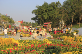 Thời tiết ngày mùng 2 Tết: Bắc Bộ đêm và sáng trời rét, ngày nắng ấm 