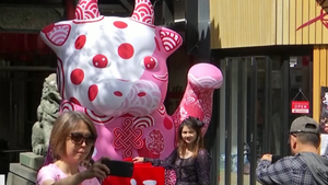 Video: Người Châu Á tại Sydney đón Tết thế nào?