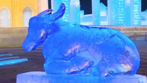 Video: Điêu khắc trâu từ băng tuyết mừng năm Tân Sửu ở Trung Quốc 