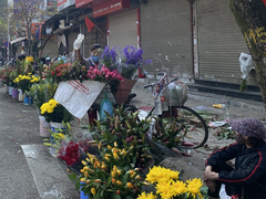 Đi chợ đầu năm: Hải sản tăng giá vùn vụt, hoa tươi rẻ hơn trước Tết