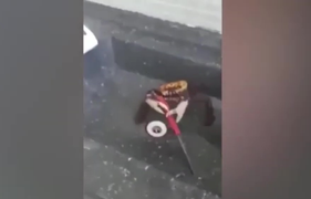 Clip: Chú cua cầm dao khiêu chiến với đầu bếp