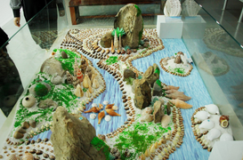 Độc, lạ bộ sưu tập vỏ ốc tại Nhà trưng bày Hoàng Sa