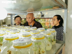 Hòa thượng Thích Huệ Đăng: Kỳ nhân xứ sương mù