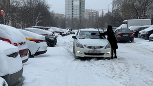 Bão tuyết khiến cây cầu dài nhất châu Âu lần đầu đóng cửa, nhiều xe kẹt cứng