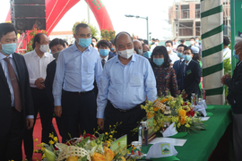 Thủ tướng phát động Tết trồng cây, Phú Yên dự kiến trồng mới 15 triệu cây xanh