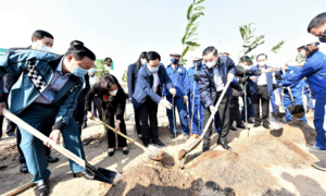 Hà Nội hưởng ứng chương trình trồng 1 tỷ cây xanh