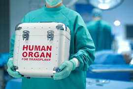 Bi kịch của người phụ nữ ghép phổi của bệnh nhân COVID-19