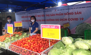 Siêu thị Co.opmart vào cuộc giải cứu nông sản Hải Dương