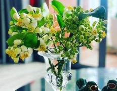 Đón rằm tháng Giêng, người Hà Nội lại tấp nập mua hoa bưởi