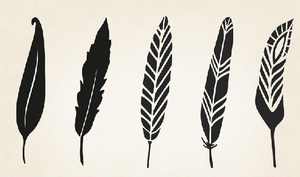 Trắc nghiệm vui: Chiếc lông vũ yêu thích tiết lộ điều gì về bạn?