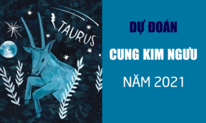 Dự đoán 12 cung hoàng đạo năm 2021: Kim Ngưu nhiều khó khăn, lắm cơ hội