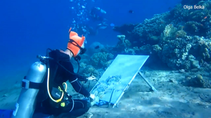 Video: Độc đáo nữ hoạ sĩ lặn xuống đáy biển để vẽ tranh