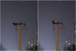 Người đàn ông nằm vắt vẻo trên cột điện khiến chục nghìn hộ dân bị cắt điện