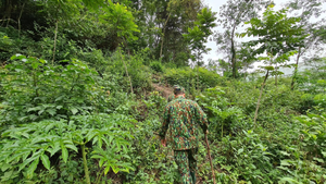 Truy bắt nghi phạm đâm, chém 4 người bị thương rồi trốn vào rừng