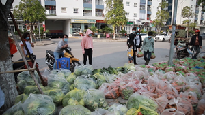 Video: Quầy hàng 'lấy tùy ý, trả tùy tâm' giải cứu nông sản Hải Dương
