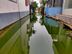 Kinh hãi con ngõ ở Quảng Bình thành ao nước thải, bốc mùi thối dù không mưa