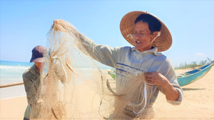 Ảnh: Vươn khơi trúng đậm cá hố, ngư dân Quảng Nam thu bạc triệu mỗi ngày