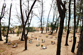 Ảnh: Nghĩa địa cá voi độc nhất Việt Nam