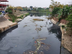 Bộ NN&PTNT đề nghị xử lý các tổ chức, cá nhân gây ô nhiễm sông Ngũ Huyện Khê