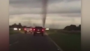 Video: Kinh hoàng lốc xoáy từ hàng triệu con muỗi trên cao tốc ở Argentina