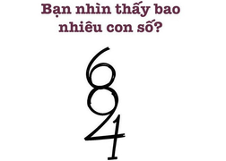 Đố vui: Bạn nhìn thấy bao nhiêu con số?
