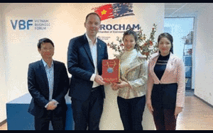 Bộ Nội vụ yêu cầu Vĩnh Phúc báo cáo việc bổ nhiệm Phó giám đốc Sở 31 tuổi